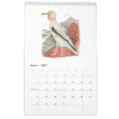  Waterverf trekkingen vogel Kinderen 5 Kalender (Mar 2027)