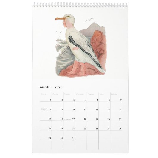  Waterverf trekkingen vogel Kinderen 5 Kalender (Mar 2026)