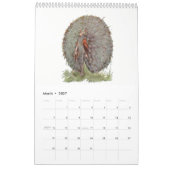 Waterverf trekkingen Vogelkinderen 2 Kalender (Mar 2027)