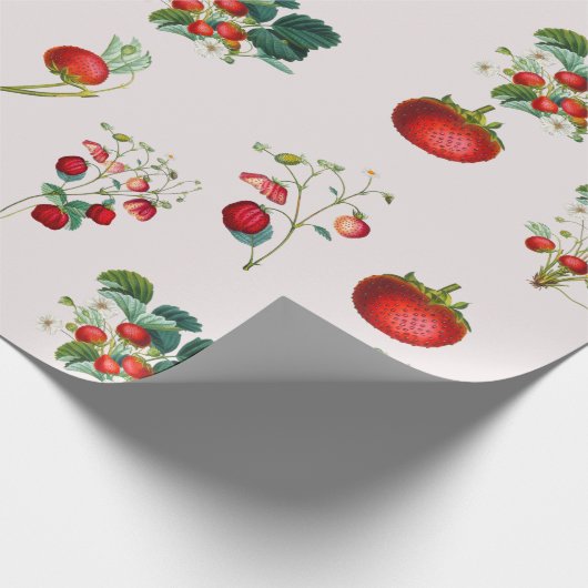  Waterverf Trilbessen Cadeaupapier (Hoek)