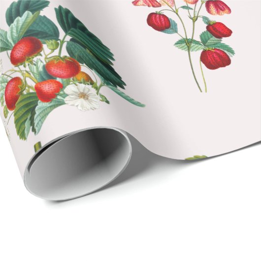  Waterverf Trilbessen Cadeaupapier (Rol Hoek)