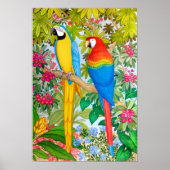 Waterverf Tropisch Macaw Parrots Poster (Voorkant)