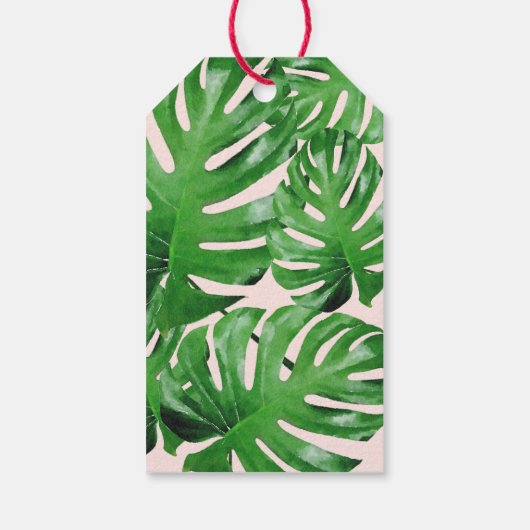 Waterverf Tropisch Monstera laat roze patroonroze Cadeaulabel (Achterkant)