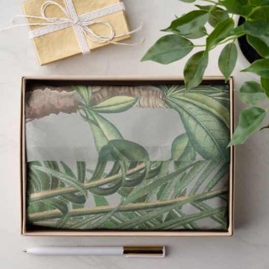 Waterverf Tropisch Woud & Toucan Vogels Tissuepapier (Geschenk)