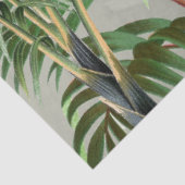 Waterverf Tropisch Woud & Toucan Vogels Tissuepapier (Detail)