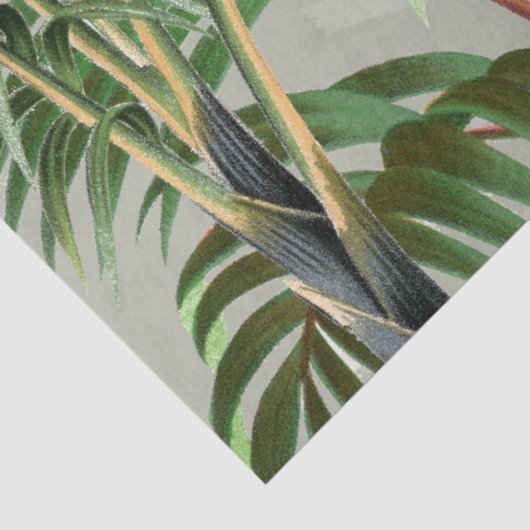 Waterverf Tropisch Woud & Toucan Vogels Tissuepapier (Detail)