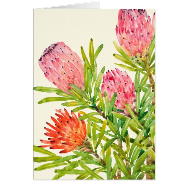 Waterverf Tropische bloemen (Voorkant)