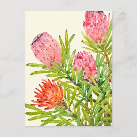 Waterverf Tropische bloemen Briefkaart (Voorkant)