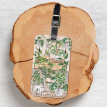 Waterverf Tropische kamerplanten