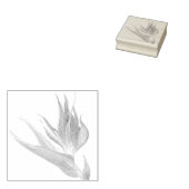 Waterverf Tropische Paradijsvogel Rubberstempel (Gestempeld)
