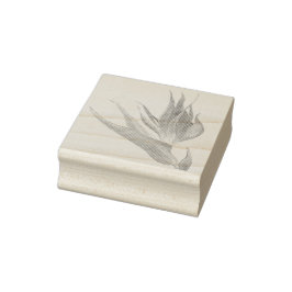 Waterverf Tropische Paradijsvogel Rubberstempel