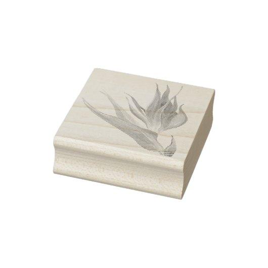 Waterverf Tropische Paradijsvogel Rubberstempel (Stempel)
