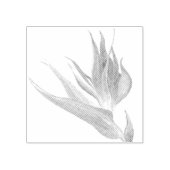 Waterverf Tropische vogel van het paradijs Rubberstempel (Afrduk)