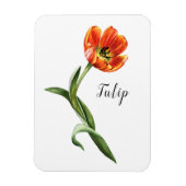 Waterverf Tulip Floral Magneet (Verticaal)