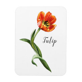 Waterverf Tulip Floral Magneet