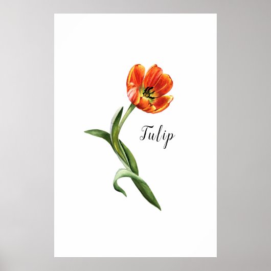 Waterverf Tulip Floral Poster (Voorkant)