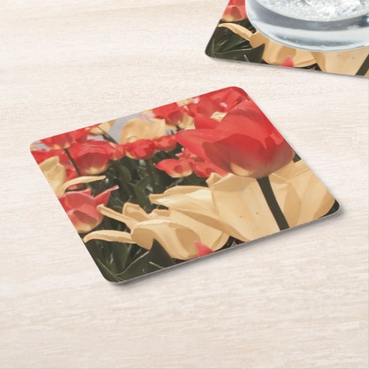 Waterverf Tulips Onderzetters (Schuin)