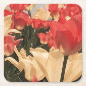 Waterverf Tulips Onderzetters (Voorkant)