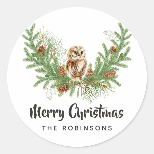 Waterverf Uil Kerstmis Ronde Sticker (Voorkant)