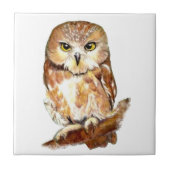 Waterverf Uil Schattigee Vogelkunst Tegeltje (Voorkant)