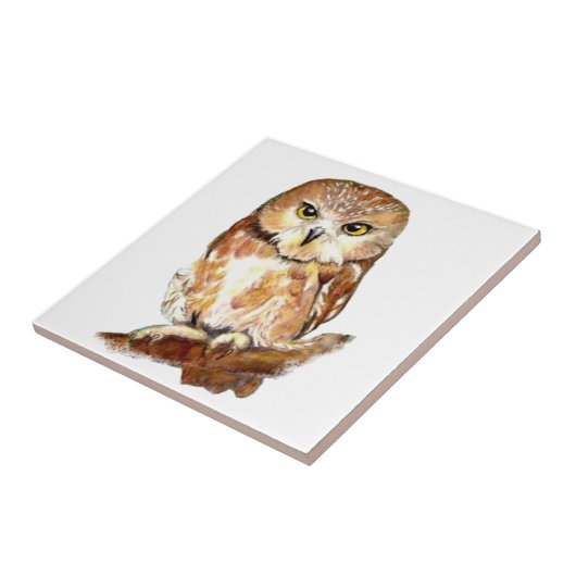 Waterverf Uil Schattigee Vogelkunst Tegeltje (Zijkant)