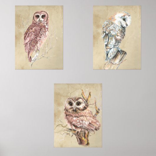 Waterverf Uil Vogel Wildlife Boerderij Muurkunst Sets (Voorkant)