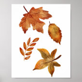 Waterverf vallende bladeren poster (Voorkant)