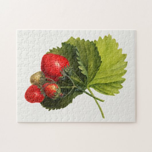  Waterverf van aardbeien Legpuzzel (Horizontaal)