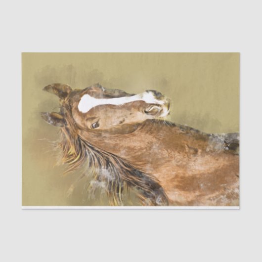 Waterverf van Amerikaanse zadelpaars Tissuepapier (Voorkant)