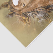 Waterverf van Amerikaanse zadelpaars Tissuepapier (Detail)