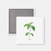 Waterverf van basionegroenen magneet (Voorkant / Achterkant)