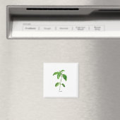 Waterverf van basionegroenen magneet (Insitu (Vaatwasser))