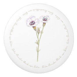 Waterverf van Bird's Eyes Gilia Keramische Knop