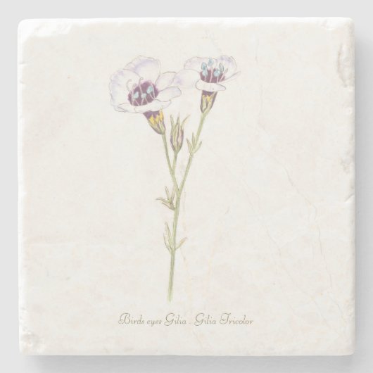 Waterverf van Bird's Eyes Gilia Stenen Onderzetter (Voorkant)