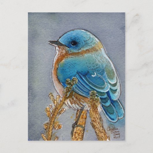 Waterverf van blauwvogel briefkaart (Voorkant)