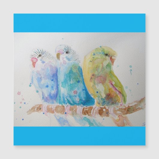 Waterverf van Boedgie Schildervogel Boedgies Aqua (Voorkant)