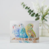 Waterverf van Boedgie Schildervogel Boedgies Aqua  Briefkaart (Staand voorkant)