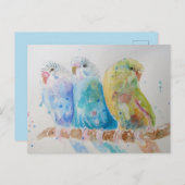 Waterverf van Boedgie Schildervogel Boedgies Aqua  Briefkaart (Voorkant / Achterkant)