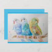 Waterverf van Boedgie Schildervogel Boedgies Aqua  Briefkaart (Voorkant / Achterkant)