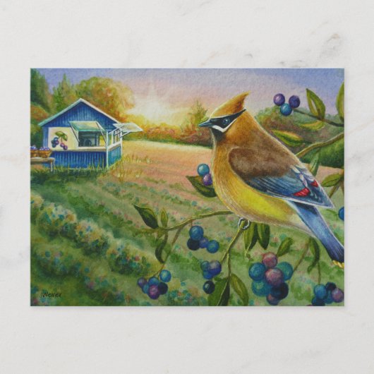 Waterverf van Boerderij met cedar Waxing Bird Briefkaart (Voorkant)