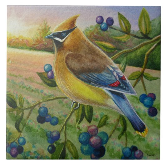 Waterverf van Boerderij met cedar Waxing Bird Tegeltje (Voorkant)