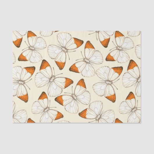 Waterverf van botervliegen tissuepapier (Voorkant)