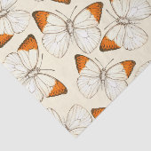 Waterverf van botervliegen tissuepapier (Detail)