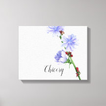 Waterverf van Chicory Flowers Canvas afdrukken