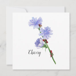 Waterverf van cichoreibloemen kaart