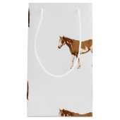 Waterverf van de Amerikaanse paardenpestsport Klein Cadeauzakje (Voorkant)