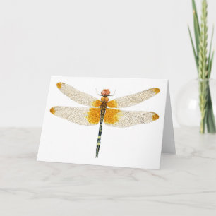 Waterverf van de Dragonfly-weergave van de instell Kaart