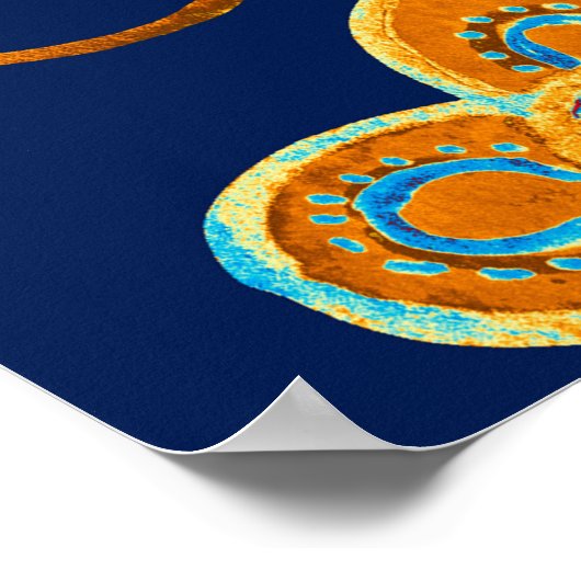 Waterverf van de Paisley-grieppatroon: bloemen, f Poster (Hoek)