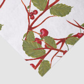 Waterverf van de  Red Cherry Branch Tissuepapier (Detail)