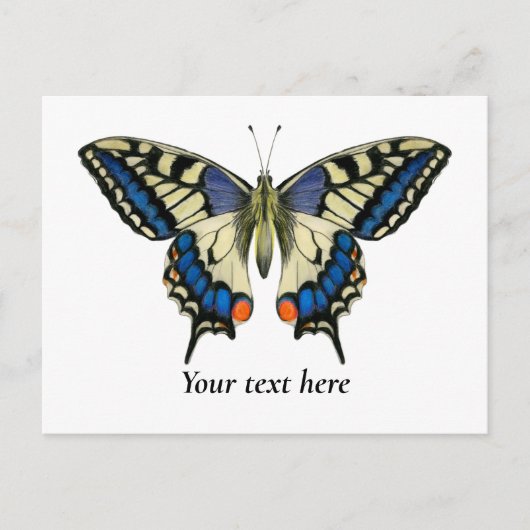 Waterverf van de swallowtail Butterfly Briefkaart  (Voorkant)